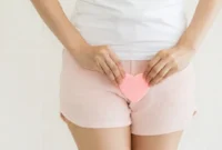 Ilustrasi mengenal anatomi vagina. (Foto: Halodoc)