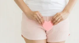 Ilustrasi mengenal anatomi vagina. (Foto: Halodoc)