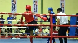 Muaythai Kota Padang meraih 8 medali di Porprov XVI Sumbar 2026. (Foto: Pemko Padang)
