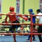 Muaythai Kota Padang meraih 8 medali di Porprov XVI Sumbar 2026. (Foto: Pemko Padang)