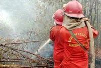 Petugas memadamkan api karhutla. (Foto: Kemenhut)