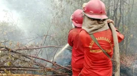 Petugas memadamkan api karhutla. (Foto: Kemenhut)