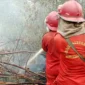Petugas memadamkan api karhutla. (Foto: Kemenhut)