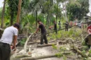 Petugas BPBD Padang melakukan pembersihan pohon karet yang tumbang akibat hujan lebat disertai angin kencang di kawasan Kalumbuk, Kecamatan Kuranji, Kota Padang, Senin (26/10/2026). (Foto: BPBD Padang)