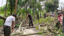 Petugas BPBD Padang melakukan pembersihan pohon karet yang tumbang akibat hujan lebat disertai angin kencang di kawasan Kalumbuk, Kecamatan Kuranji, Kota Padang, Senin (26/10/2026). (Foto: BPBD Padang)