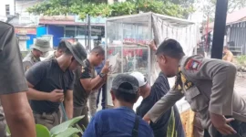 Petugas Satpol PP Padang menertibkan lapak PKL yang memakai fasilitas umum untuk berjualan, Selasa (27/10/2026). (Foto: Humas Satpol PP Padang)