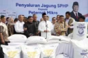 Pemerintah menjamin serapan jagung petani melalui Bulog, dengan target pengadaan 1 juta ton dan alokasi SPHP jagung pakan 391,9 ribu ton. (Foto: Ditjen PKH Kementan)