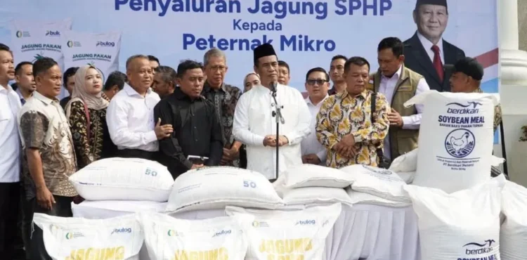 headline-foto