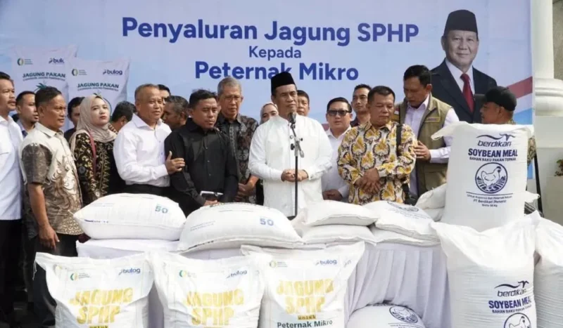Pemerintah menjamin serapan jagung petani melalui Bulog, dengan target pengadaan 1 juta ton dan alokasi SPHP jagung pakan 391,9 ribu ton. (Foto: Ditjen PKH Kementan)