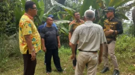 Pemko Padang meninjau lokasi rencana pembangunan SMK Negeri 11 Padang di Jalan Pasar Lalang, Kelurahan Kuranji, Kecamatan Kuranji, Kamis (15/10/2026). (Foto: Pemko Padang)